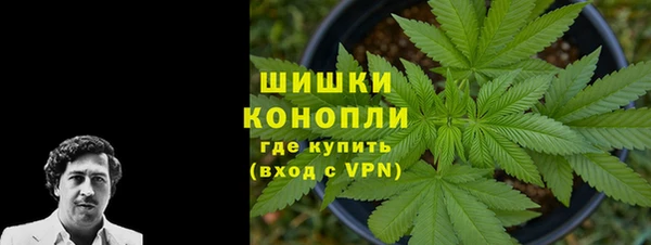 спиды Магас