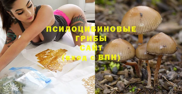 спиды Магас
